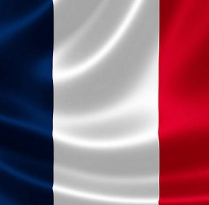 Drapeau France - Assistance Déclaration Fiscale Revenus Français Personne Seule et Couple